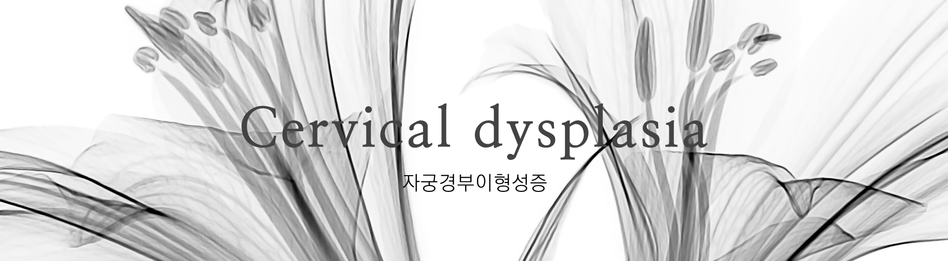 Cervical dysplasia, 자궁경부이형성증